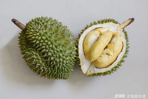 榴莲国产推荐视频在线,视频揭秘美味与种植奥秘 第2张 榴莲国产推荐视频在线,视频揭秘美味与种植奥秘 第2张